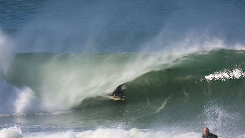 surfing north narrabeen